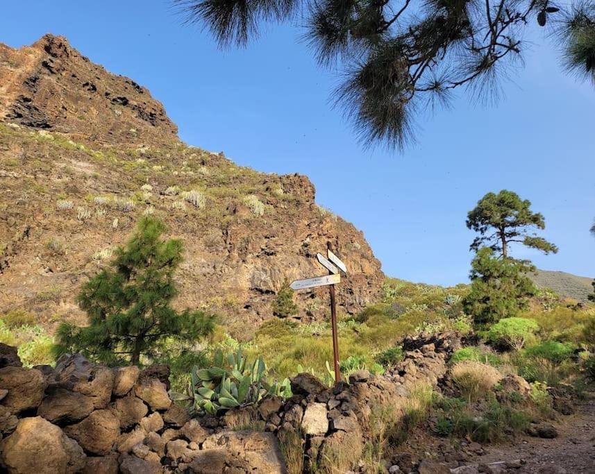 Hikers Haven Courtyard Tamaimo Tenerife Appartement