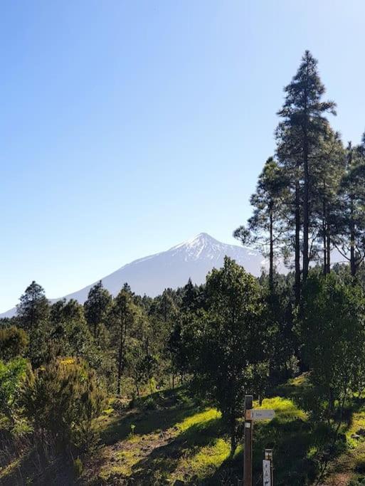 Apartamento Hikers Haven Courtyard Tamaimo Tenerife El Molledo